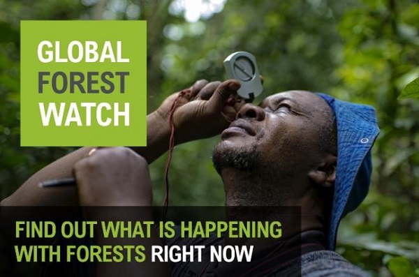 Global forest Watch